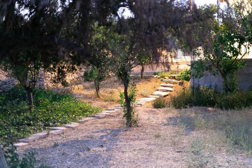 Villa Ferrante Marina di Ragusa Buitenkant foto